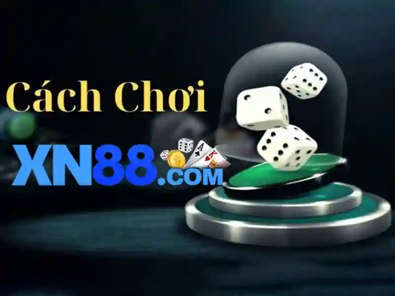 Trải nghiệm người dùng Trải nghiệm người dùng