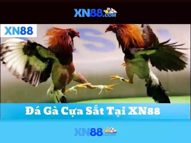 Tính năng nổi bật
