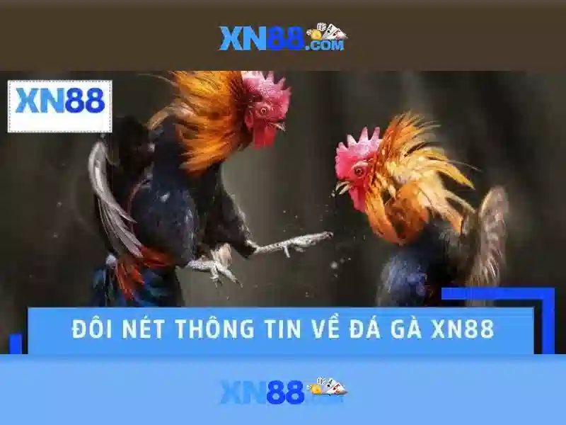 m1 xn88: Tổng quan thương hiệu và trải nghiệm người dùng Soi kèo hiệp 1