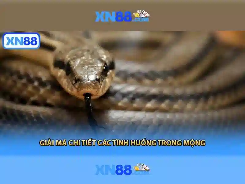 xn88 nổ hũ – Tổng quan chủ đề và giá trị cốt lõi xn88 nổ hũ – Tổng quan chủ đề và giá trị cốt lõi