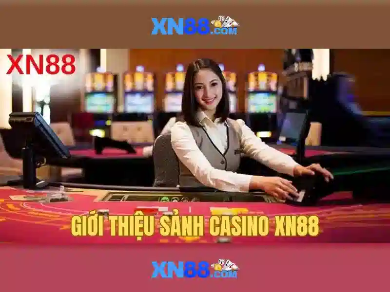 Giai đoạn phát triển của xn88