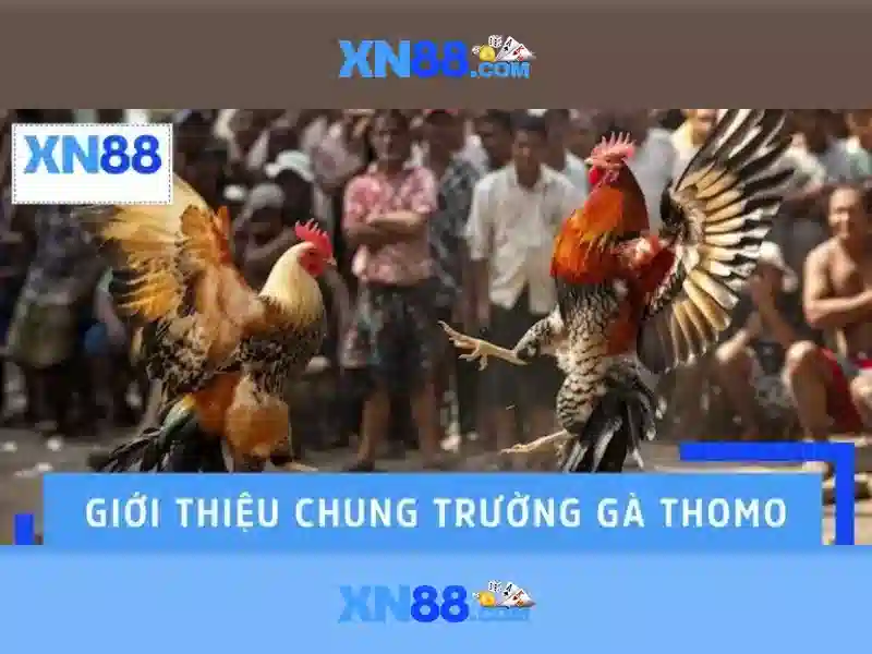 Triển vọng và cộng đồng Triển vọng và cộng đồng