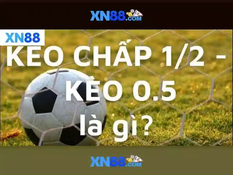 Trải nghiệm người dùng Trải nghiệm người dùng