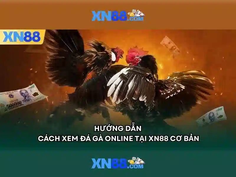 Nguồn gốc và sứ mệnh\n<h2>Sản phẩm và dịch vụ cốt lõi của xn88 có uy tín không</h2>\n<p>Nền tảng xn88 cung cấp hệ thống cược đa dạng, từ trò chơi slots, cá cược thể thao cho đến các trò chơi tương tác xã hội. Sản phẩm nổi bật là xn88 bet vip, mang lại quyền lợi đặc biệt cho người chơi có hồ sơ xác thực và lịch sử giao dịch tốt. Bên cạnh đó, khách hàng có thể dễ dàng tiếp cận nền tảng qua các kênh như https xn88 app normal hoặc ap xn88, với hướng dẫn cách tải xn88 rõ ràng và an toàn. Người dùng biết cách tải xn88 và cài đặt trên thiết bị của mình, từ điện thoại di động đến máy tính bảng, giúp trải nghiệm mượt mà ở mọi thời điểm.</p>\n<p>Người dùng sẽ được trải nghiệm các tính năng bảo mật nâng cao như xác thực hai yếu tố, mã hóa dữ liệu và cơ chế kiểm tra giao dịch. Ví dụ điển hình là quá trình thanh toán nhanh chóng và an toàn, cùng với các công cụ quản lý tài khoản giúp người dùng theo dõi chi tiêu một cách rõ ràng.</p>\n<h2>Ưu thế và năng lực cạnh tranh</h2>\n<p>So sánh với các đối thủ, xn88 có uy tín không ghi nhận một số điểm mạnh: hệ thống bảo mật mạnh mẽ, hiệu suất cao, dịch vụ khách hàng 24/7, sự đa nền tảng và khả năng mở rộng. Các yếu tố này được củng cố bằng các chứng nhận an toàn và hợp tác với các đối tác uy tín. xn88 cũng phát triển chiến lược “an toàn trước hết” khi triển khai xn88 bet vip và cung cấp cách tải xn88, đảm bảo người chơi có thể thao tác nhanh chóng và an toàn.</p>\n<p>Các điểm mạnh còn bao gồm việc minh bạch về phí và điều khoản sử dụng, cập nhật liên tục về tính năng mới, và văn hóa phản hồi từ cộng đồng giúp thương hiệu cải thiện từng ngày. Sự kết hợp của ap xn88 và https xn88 app normal tạo nên một hệ sinh thái dễ tiếp cận cho người mới và người chơi kinh nghiệm.</p>\n<h2>Trải nghiệm người dùng và phản hồi từ cộng đồng</h2>\n<p>Một số người dùng chia sẻ trải nghiệm xn88 có uy tín không qua các bài đánh giá trên diễn đàn và mạng xã hội. Họ khen sự nhanh nhạy của chăm sóc khách hàng, sự minh bạch trong giao dịch và tính ổn định của nền tảng khi tải nhanh và chơi mượt mà. Trải nghiệm xn88 có uy tín không từ cộng đồng luôn được xem như một tiêu chuẩn cho uy tín của thương hiệu, và xn88 đã chứng tỏ được khả năng lắng nghe và cải thiện.</p>\n<p>Những phản hồi tích cực đi kèm với các đề xuất cải thiện giúp xn88 ngày càng hoàn thiện. Việc công khai các cập nhật và bản vá cũng làm tăng niềm tin của người chơi, đồng thời khuyến khích họ thử nghiệm các tính năng mới, từ đó gia tăng sự gắn kết với thương hiệu.</p>\n<h2>Triển vọng và tầm nhìn tương lai</h2>\n<p>Trong tương lai, xn88 hướng tới mở rộng quy mô toàn cầu, duy trì cam kết trách nhiệm xã hội và thúc đẩy các sáng kiến an toàn cho người chơi. Họ sẽ đầu tư vào công nghệ trí tuệ nhân tạo để cá nhân hóa trải nghiệm, cải thiện hệ thống chống rửa tiền và đảm bảo tính công bằng cho mọi trò chơi. Tầm nhìn là một nền tảng không chỉ mạnh về công nghệ mà còn đáng tin cậy về pháp lý và đạo đức, nơi người chơi có thể trải nghiệm mọi hoạt động mà không phải lo lắng về rủi ro. ap xn88 và https xn88 app normal sẽ tiếp tục được tối ưu hóa để người dùng có thể tiếp cận mọi dịch vụ một cách thuận tiện nhất, bất kể họ ở đâu trên thế giới.</p>\n<h2>Tóm tắt và lời mời trải nghiệm</h2>\n<p>Tóm lại, xn88 có uy tín không được xây dựng dựa trên một yếu tố duy nhất mà là sự kết hợp giữa bảo mật, minh bạch, dịch vụ chăm sóc khách hàng và cộng đồng người chơi tích cực. Với sự đầu tư liên tục vào công nghệ và con người, thương hiệu hứa hẹn mang đến những trải nghiệm chất lượng và an toàn. Nếu bạn tò mò và muốn trải nghiệm, hãy xem qua các hướng dẫn tải xn88 và bắt đầu hành trình của riêng bạn với xn88 bet vip để có mức trải nghiệm cao nhất. Hãy trải nghiệm xn88 có uy tín không và tự mình đánh giá sau khi tham gia cộng đồng, bạn sẽ cảm nhận sự khác biệt ngay từ những phút đầu tiên.</p>