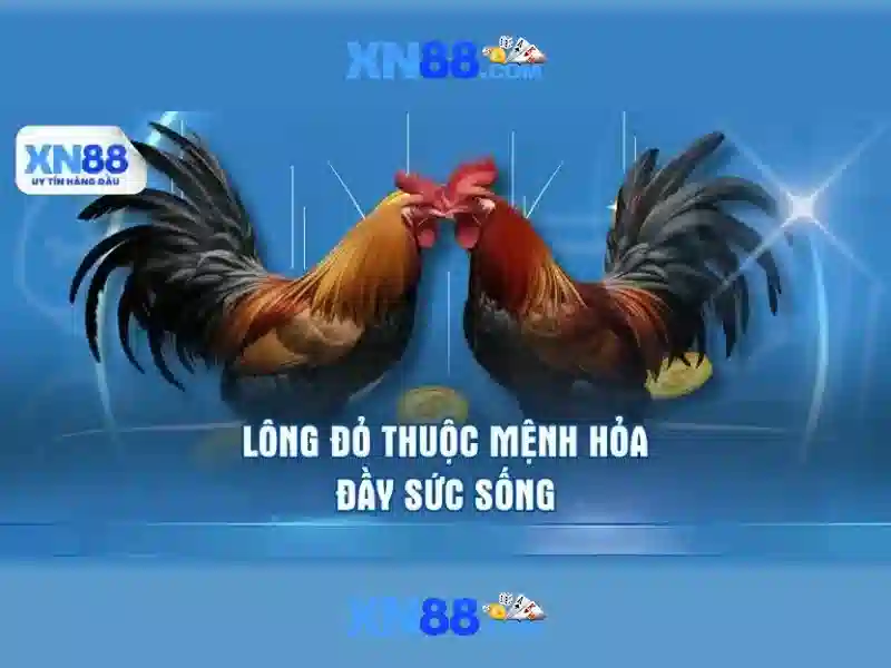 Đăng Nhập