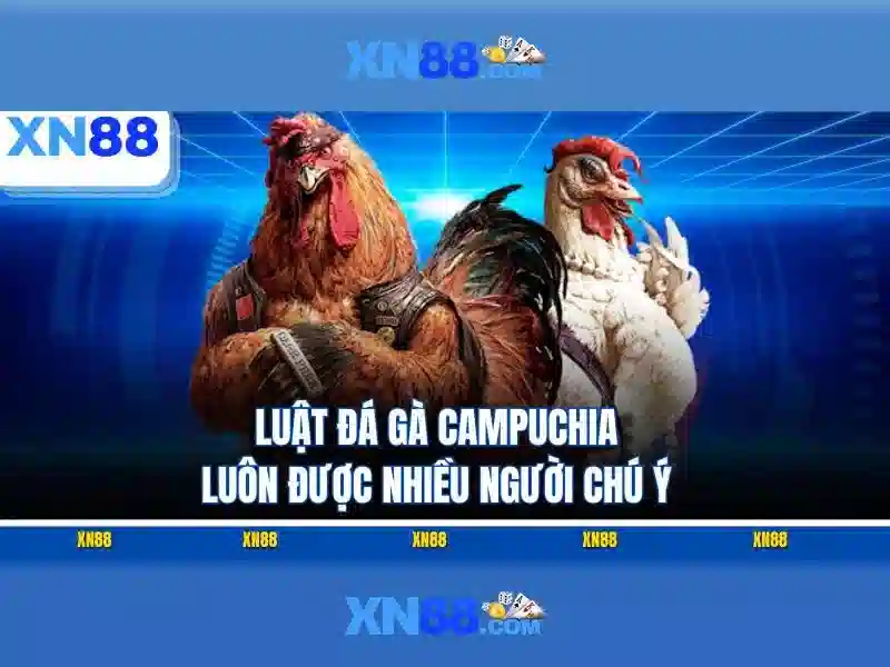 An toàn và pháp lý