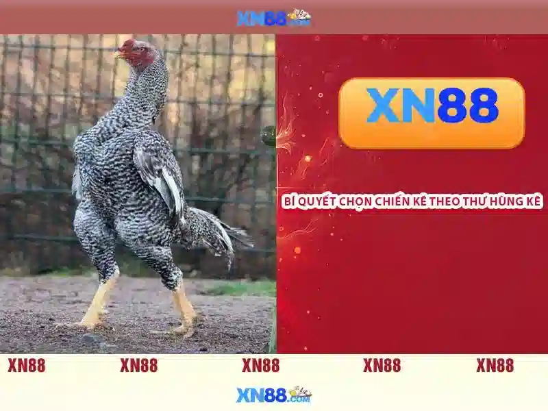 xn88: nền tảng trò chơi trực tuyến và cộng đồng người chơi 1 Đăng Nhập