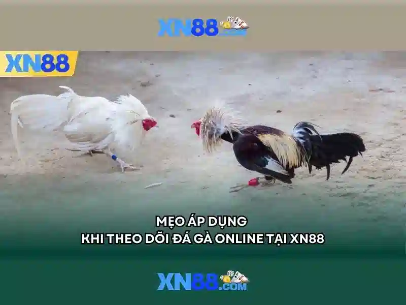 xn88: Đánh giá tổng quan và hướng dẫn chơi an toàn Go88