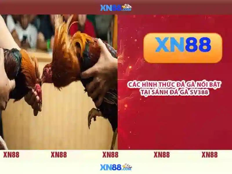 m1 xn88 – Tổng quan chủ đề và giá trị cốt lõi