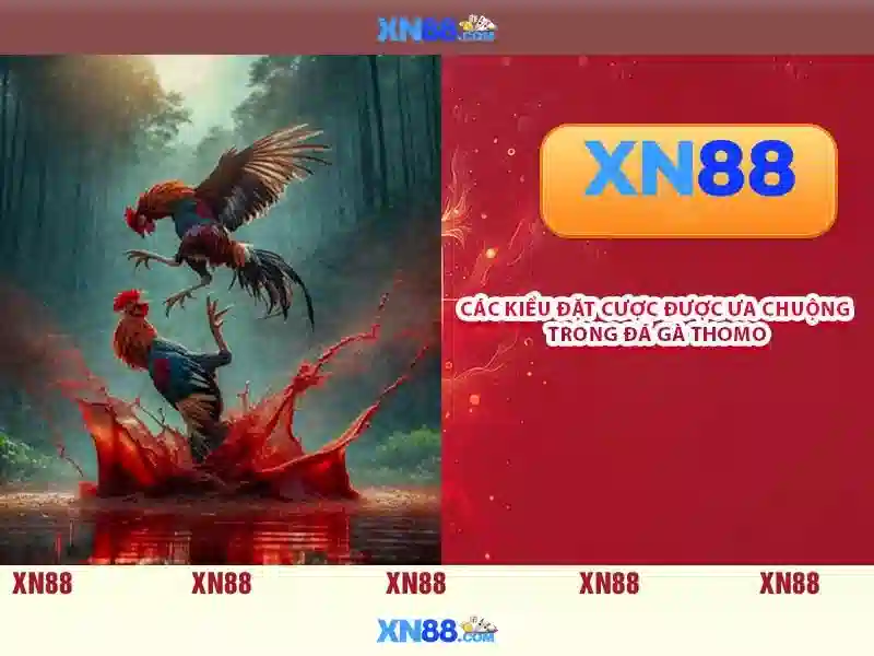 Lịch sử và nguồn gốc của xn88\n<h>Các sản phẩm và dịch vụ</h>\n<p>Nền tảng cung cấp các sản phẩm và dịch vụ đa dạng như trò chơi trực tuyến, giải pháp thanh toán, và nội dung giải trí tùy khu vực pháp lý. Giao diện người dùng được thiết kế rõ ràng, dễ thao tác và tối ưu cho người dùng di động.</p>\n<h>An toàn và bảo mật</h>\n<p>An toàn và bảo mật là ưu tiên hàng đầu tại xn88. Hệ thống sử dụng mã hóa TLS, kiểm soát rủi ro và xác thực hai yếu tố để bảo vệ tài khoản và dữ liệu người dùng, đồng thời duy trì tuân thủ các chuẩn bảo mật đang áp dụng.</p>\n<h>Cách tham gia và lợi ích</h>\n<p>Để tham gia, người dùng cần đăng ký tài khoản, xác thực danh tính nếu được yêu cầu, nạp tiền và bắt đầu trải nghiệm. Người dùng nên quản lý ngân sách, tham gia có trách nhiệm và tận hưởng các chương trình khuyến mãi một cách hợp lý.</p>