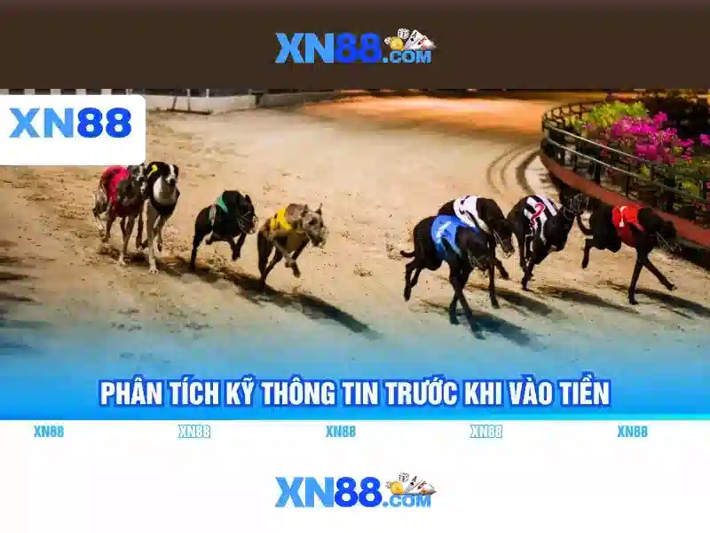 Dịch vụ khách hàng và hướng dẫn tham gia Dịch vụ khách hàng và hướng dẫn tham gia
