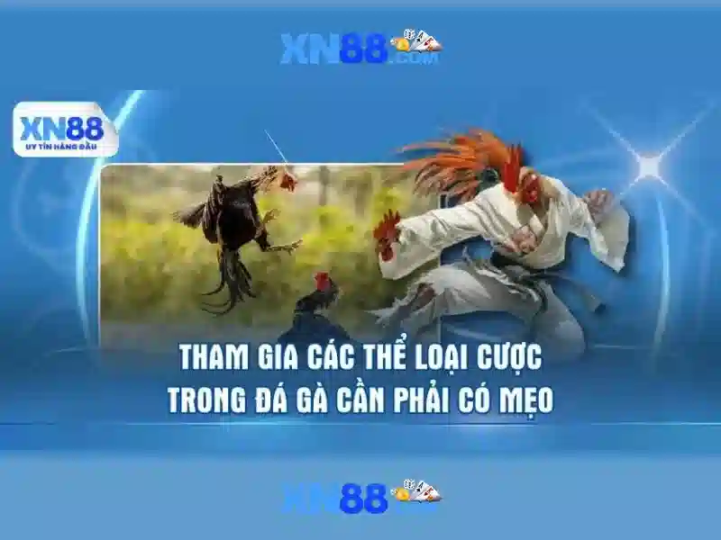 xn88 best – chủ đề tổng quan và giá trị cốt lõi