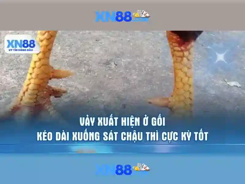 Go88