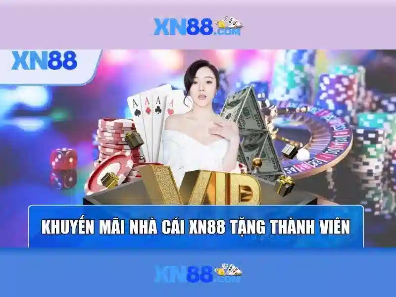 Kết luận về xn88