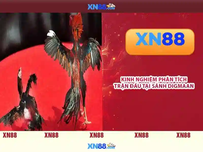 Ứng dụng xn88-app và trải nghiệm người dùng Ứng dụng xn88-app và trải nghiệm người dùng