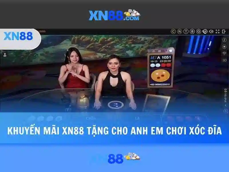 Kết luận và lời khuyên