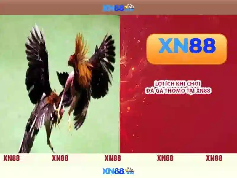 Tại sao xn88 nổi bật
