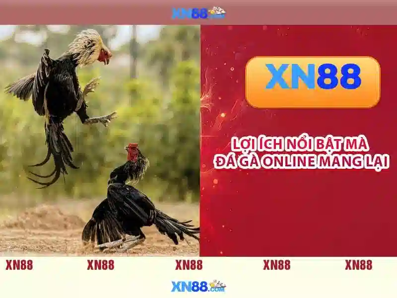 Các tính năng nổi bật