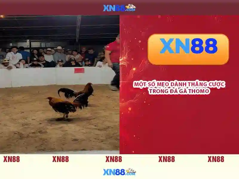 xn88: Nền tảng giải trí trực tuyến và trải nghiệm người dùng 1 Đăng Nhập