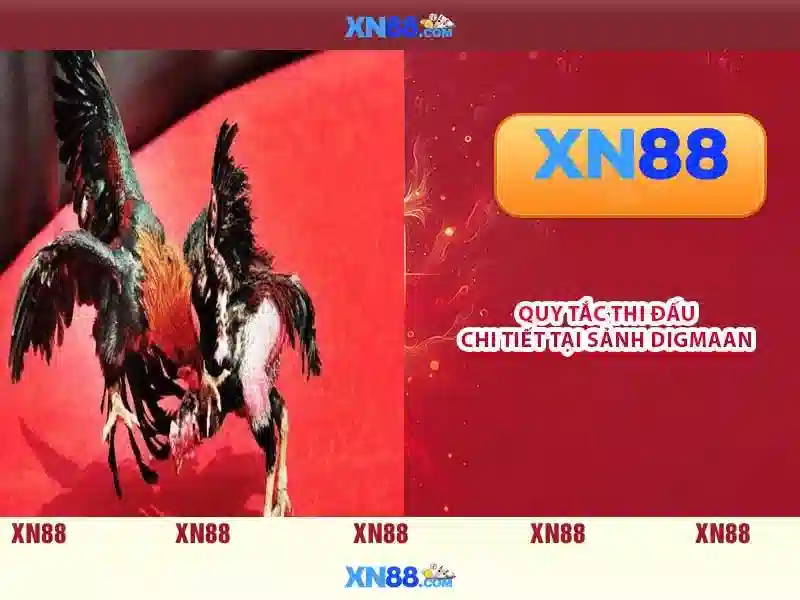 Lịch sử và nguồn gốc của xn88 Lịch sử và nguồn gốc của xn88