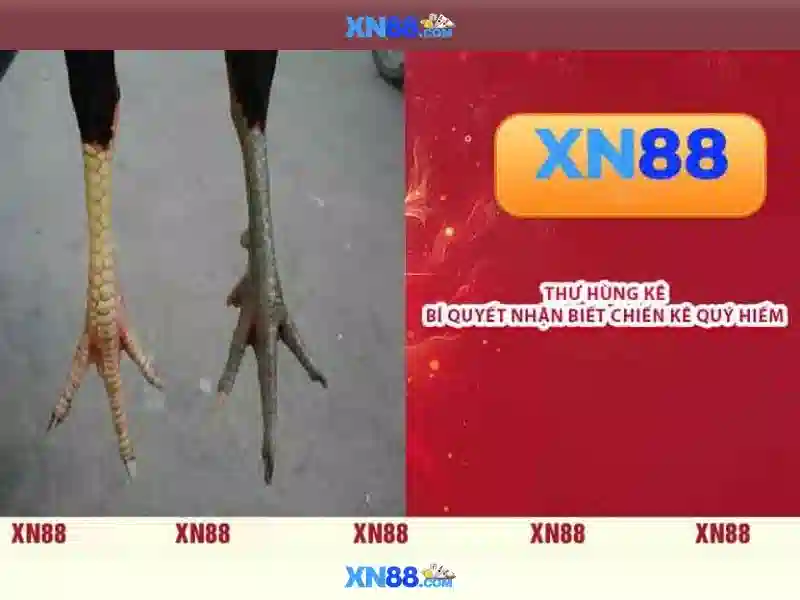 Các trò chơi nổi bật