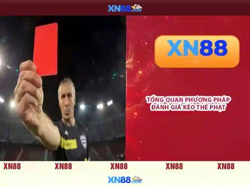 XN88 là gì? XN88 là gì?