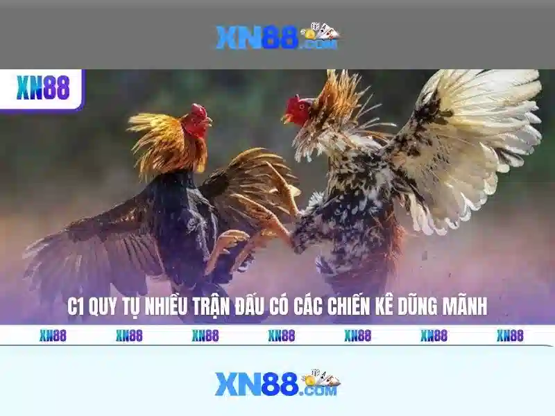 xn88 tại app – Sản phẩm và dịch vụ cốt lõi