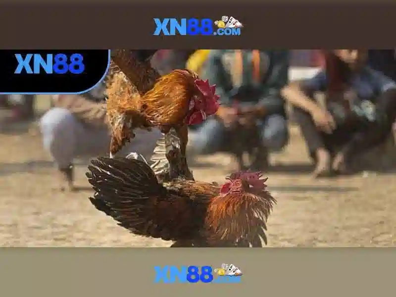Đăng Nhập