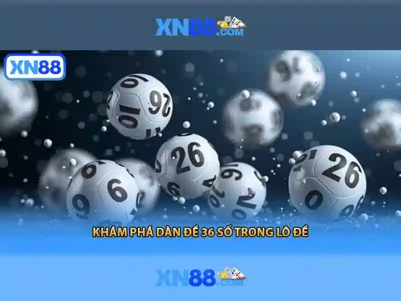 Rủi ro và trách nhiệm