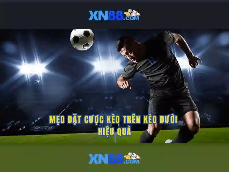 Tính năng nổi bật của xn88 Tính năng nổi bật của xn88