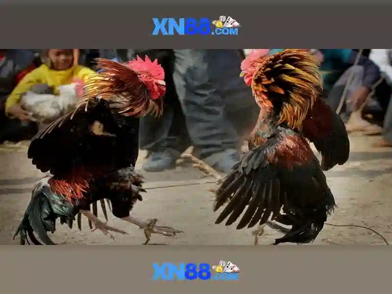 Pháp lý và hỗ trợ khách hàng\n\n<h>Kết luận và triển vọng</h>\n<p>Với cam kết liên tục cải tiến, xn88 hứa hẹn mang lại những trải nghiệm giải trí an toàn và bền vững cho người dùng, đồng thời mở rộng ra các thị trường mới và đối tác chiến lược.</p>