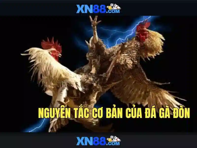 Hỗ trợ khách hàng và kết nối