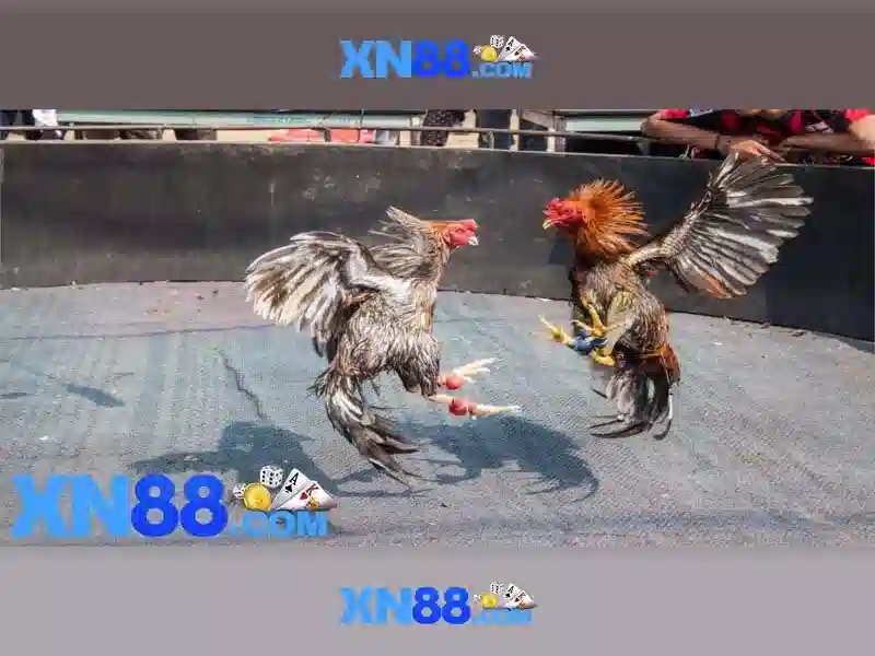 Đăng Nhập