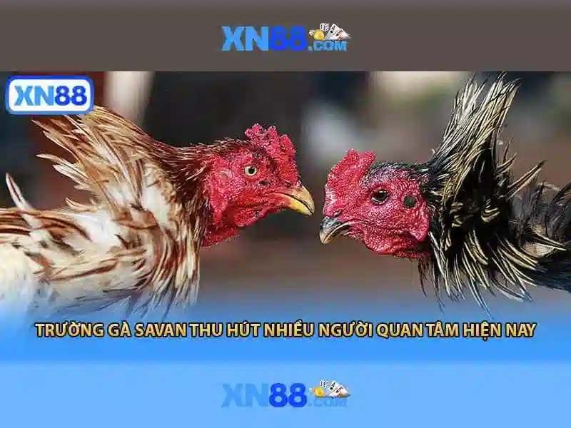 xn88 là gì và tại sao được nhiều người quan tâm 1 Đăng Nhập