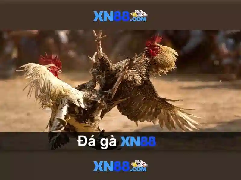 Đăng Nhập