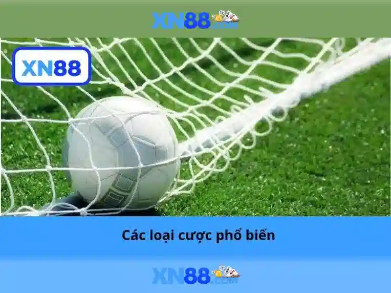 Các tính năng nổi bật của xn88