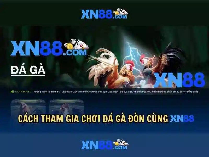 Phân tích khuyến mãi và cách so sánh Phân tích khuyến mãi và cách so sánh