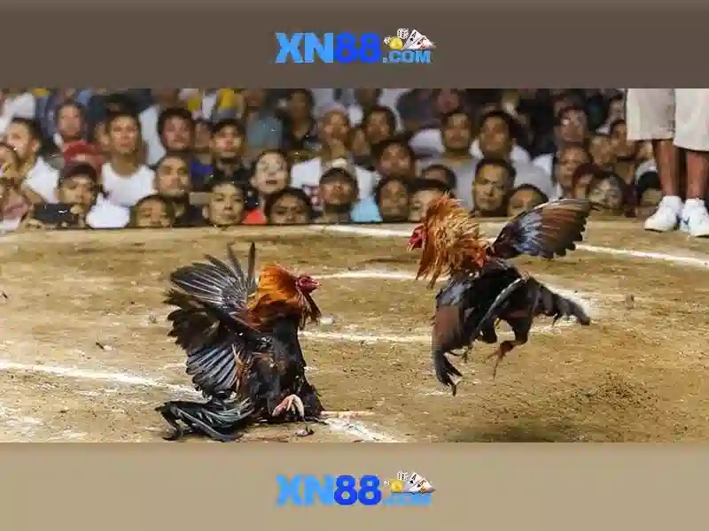 Hỗ trợ khách hàng và thanh toán Hỗ trợ khách hàng và thanh toán