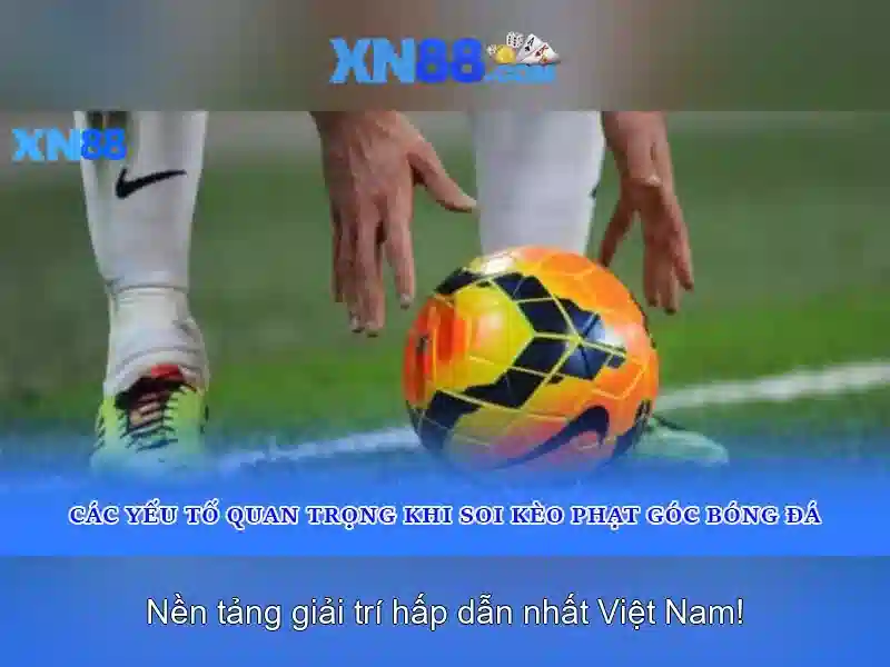 Liên hệ và nguồn lực