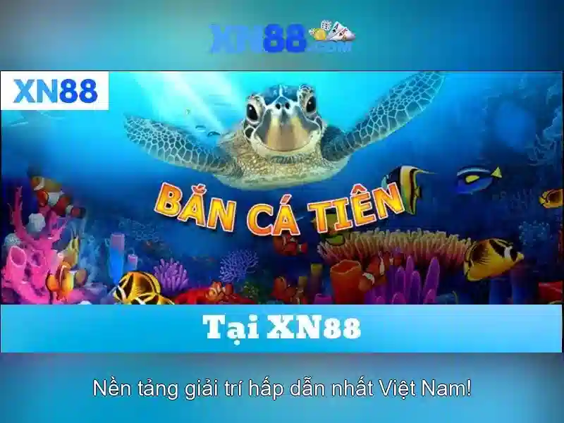 Trải nghiệm người dùng và Phản hồi cộng đồng