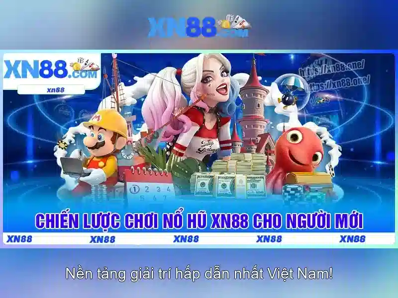Chính sách bảo mật và an toàn người dùng