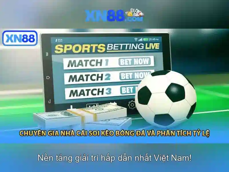 Hỗ trợ khách hàng và điều khoản