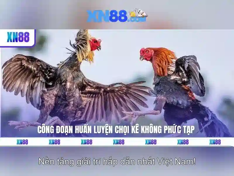 jpn.com xn88 – Tổng quan và Giá trị cốt lõi