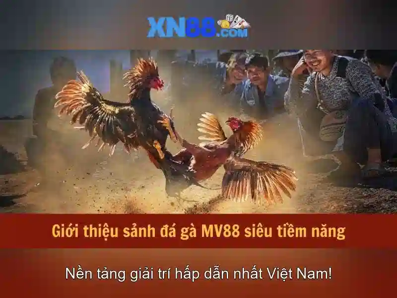 Tổng quan về XN88