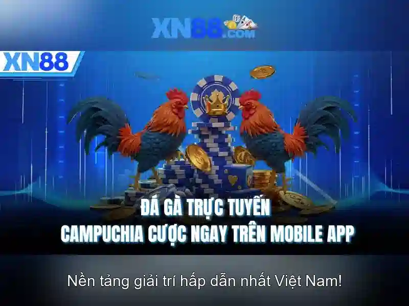 Nền tảng xn88 và lịch sử phát triển