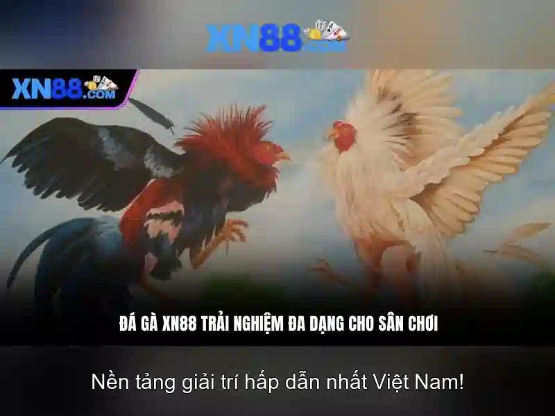 Cách chơi và chiến thuật Cách chơi và chiến thuật