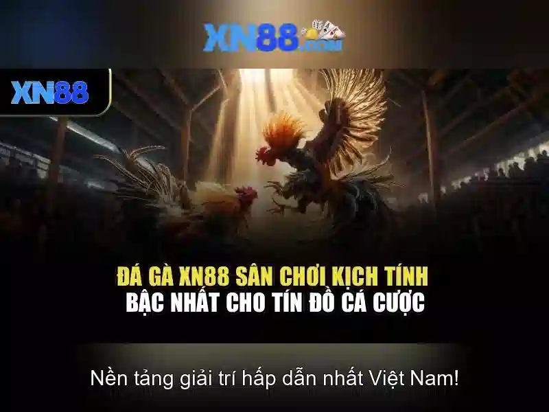 xn88 – Nền tảng cá cược trực tuyến 1 Đăng Nhập