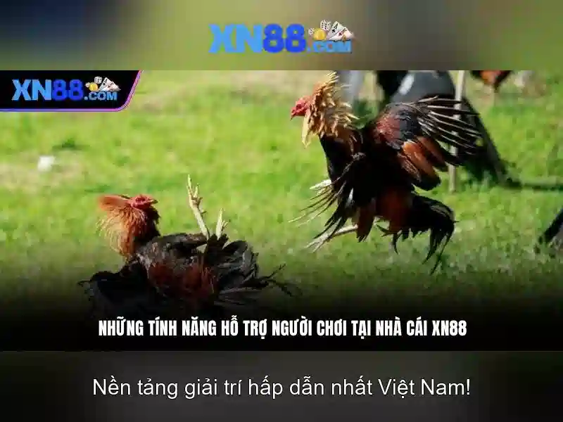 Giới thiệu về xn88 Giới thiệu về xn88