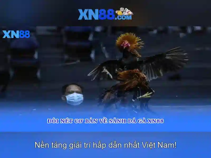 Tính năng nổi bật của xn88