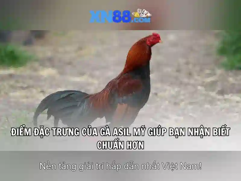 Công nghệ và tính năng nổi bật